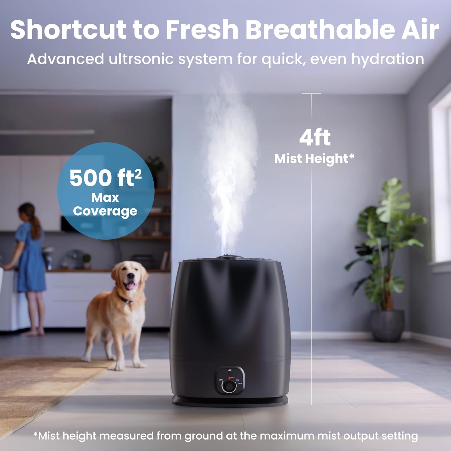 6L Cool Mist Humidifier for Be – обзор и цена Baby Products For Dry Skin
